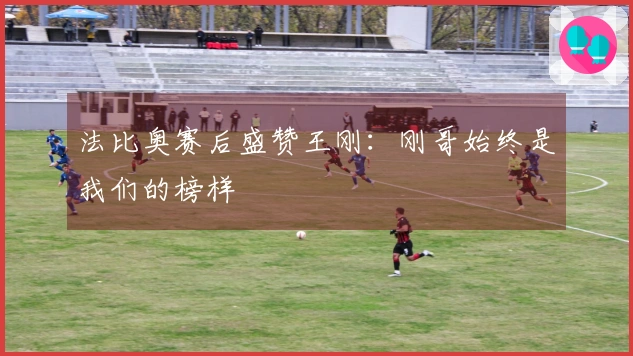 法比奥赛后盛赞王刚：刚哥始终是我们的榜样