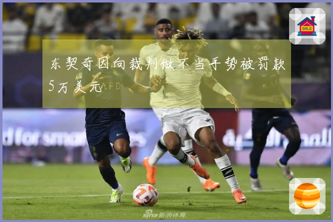 东契奇因向裁判做不当手势被罚款5万美元